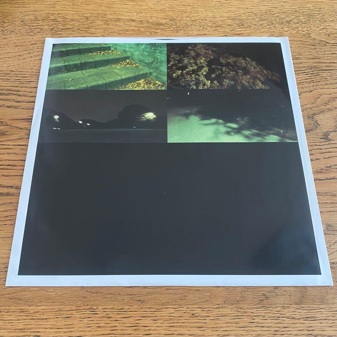 the brilliant green LPレコード2枚セット