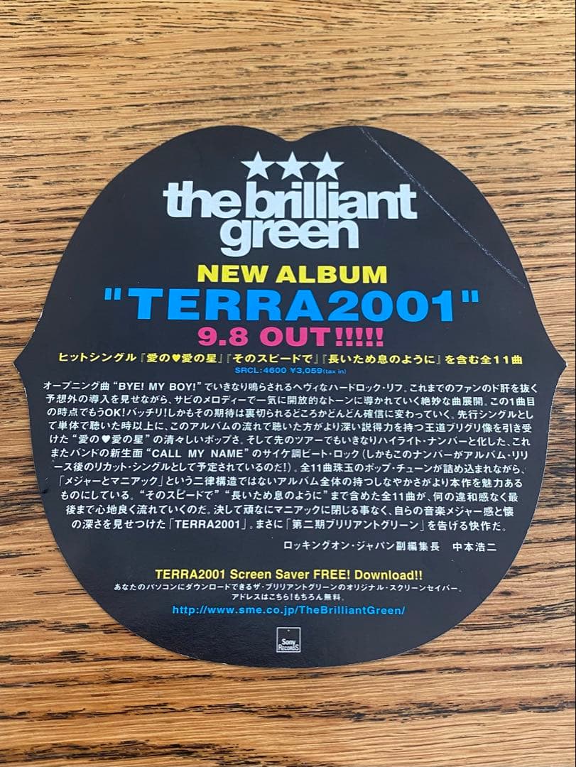 the brilliant green LPレコード2枚セット