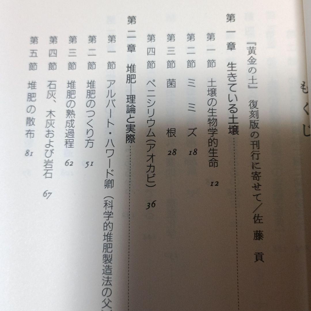 黄金の土