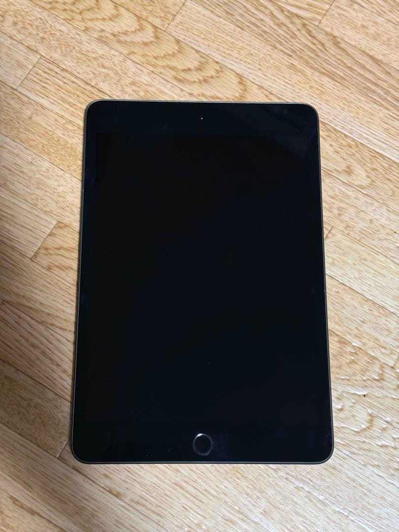 Apple iPad mini 第5世代 256GB スペースグレー 本体のみ