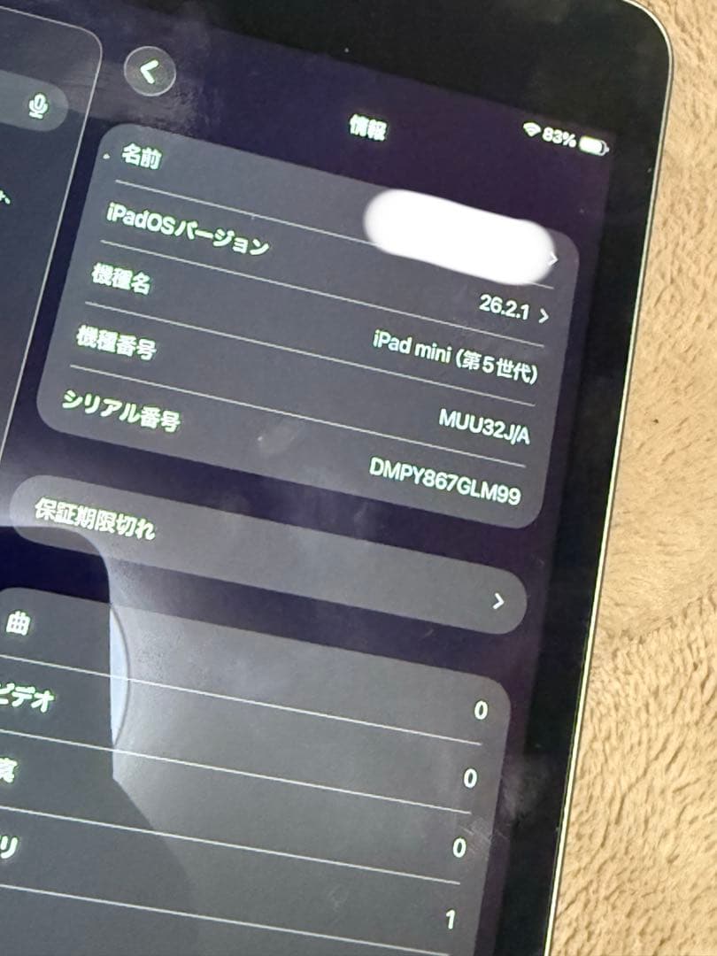 Apple iPad mini 第5世代 256GB スペースグレー 本体のみ