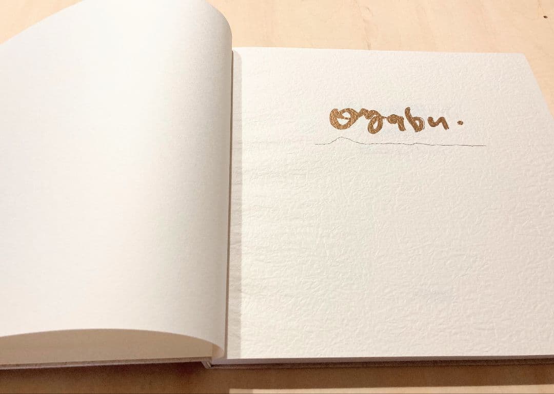 ◇大藪雅孝画集 『愛しき仲間たち』京都書院発行 1987年発行◇