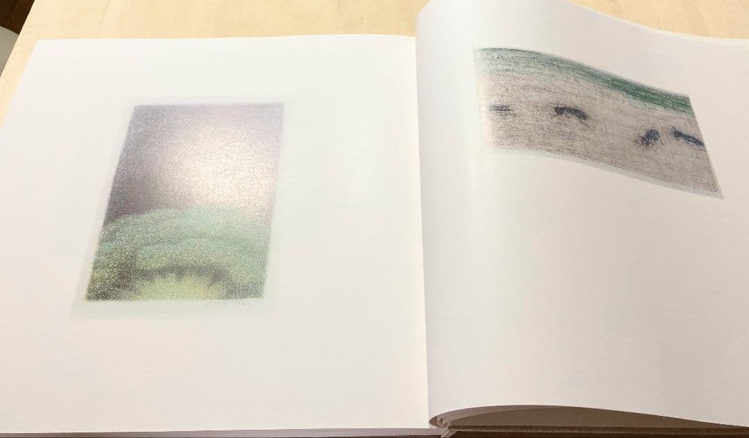 ◇大藪雅孝画集 『愛しき仲間たち』京都書院発行 1987年発行◇