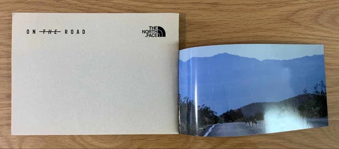 【貴重】仲野太賀 THE NORTH FACE 冊子 ノースフェイス 写真集