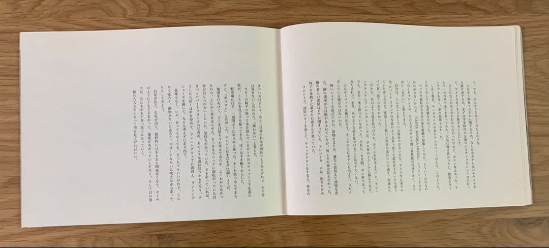 【貴重】仲野太賀 THE NORTH FACE 冊子 ノースフェイス 写真集