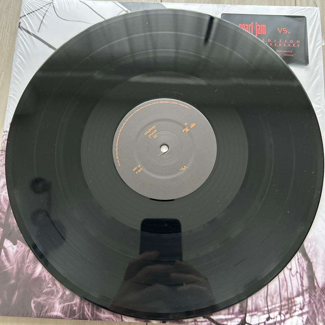 Pearl Jam Vs. レコード