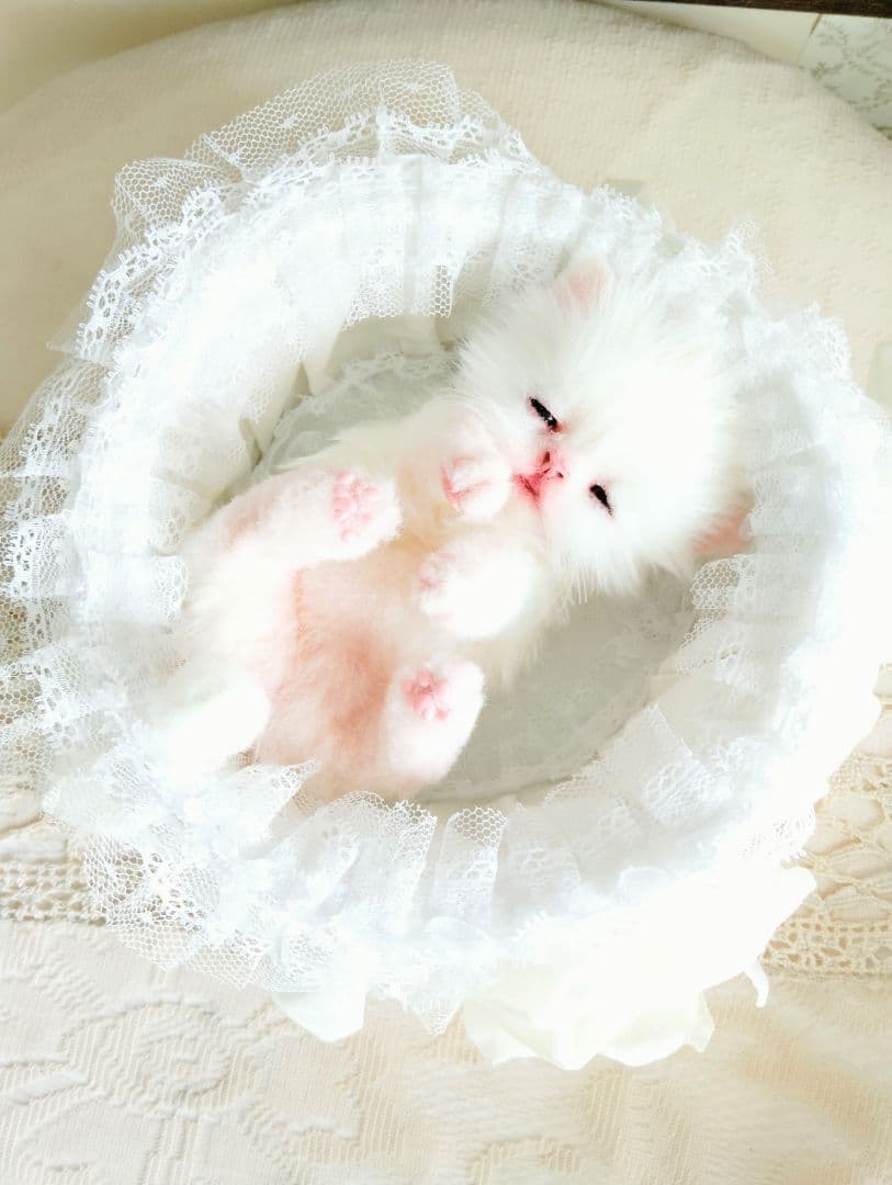 生後10日♡白子猫ちゃん♡お口開閉♡おねんねカゴセット♡アートドール♡ぬいぐるみ