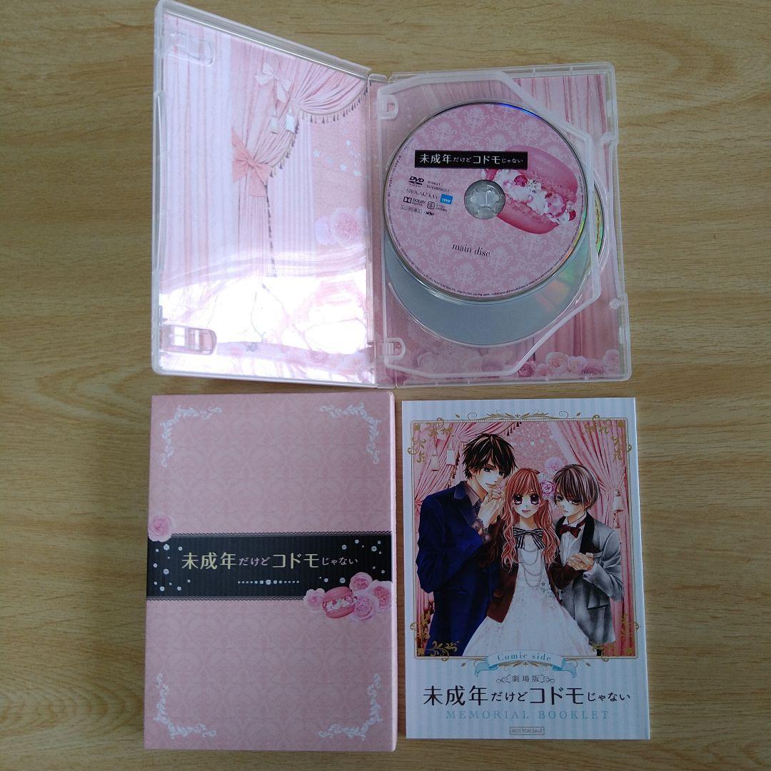 少女漫画 少女コミック原作 実写化映画 DVD まとめ売り 17作品セット
