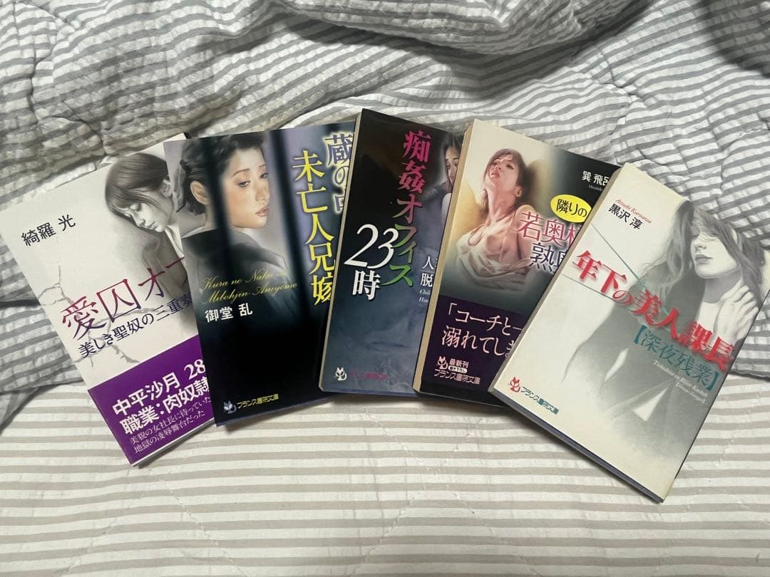 フランス書院文庫20冊（カバー欠品2冊）マドンナメイト4冊他1冊…計25冊セット