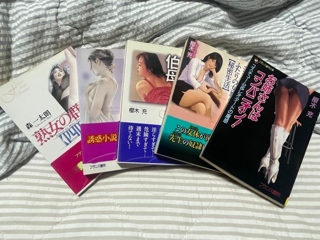 フランス書院文庫20冊（カバー欠品2冊）マドンナメイト4冊他1冊…計25冊セット