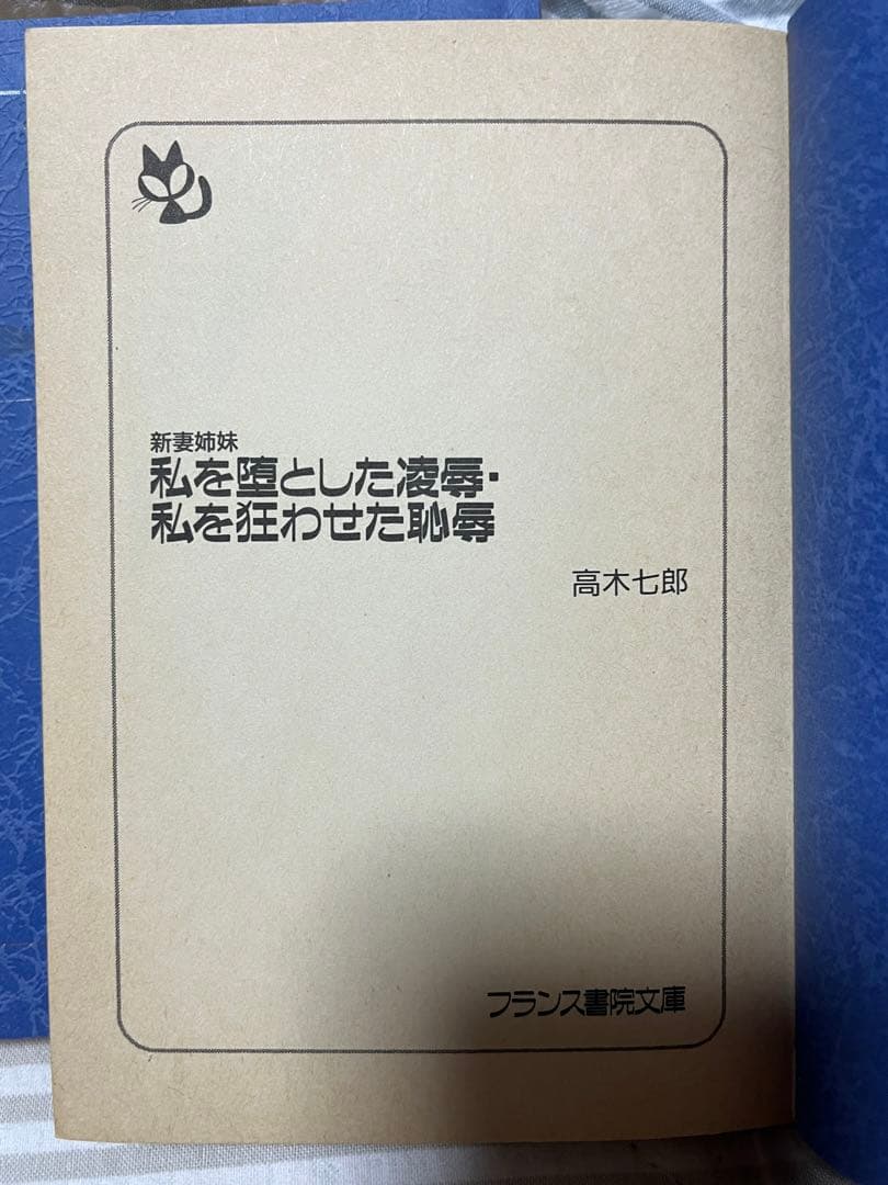 フランス書院文庫20冊（カバー欠品2冊）マドンナメイト4冊他1冊…計25冊セット
