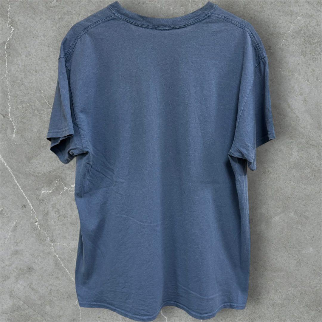 00s レイトロール Ray Troll アート 陰陽 インヤン tシャツ