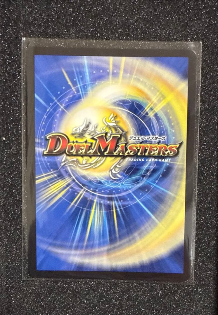コ*読様 龍素記号wD サイクルペディア SR [DM23-RP3 SP2/SP