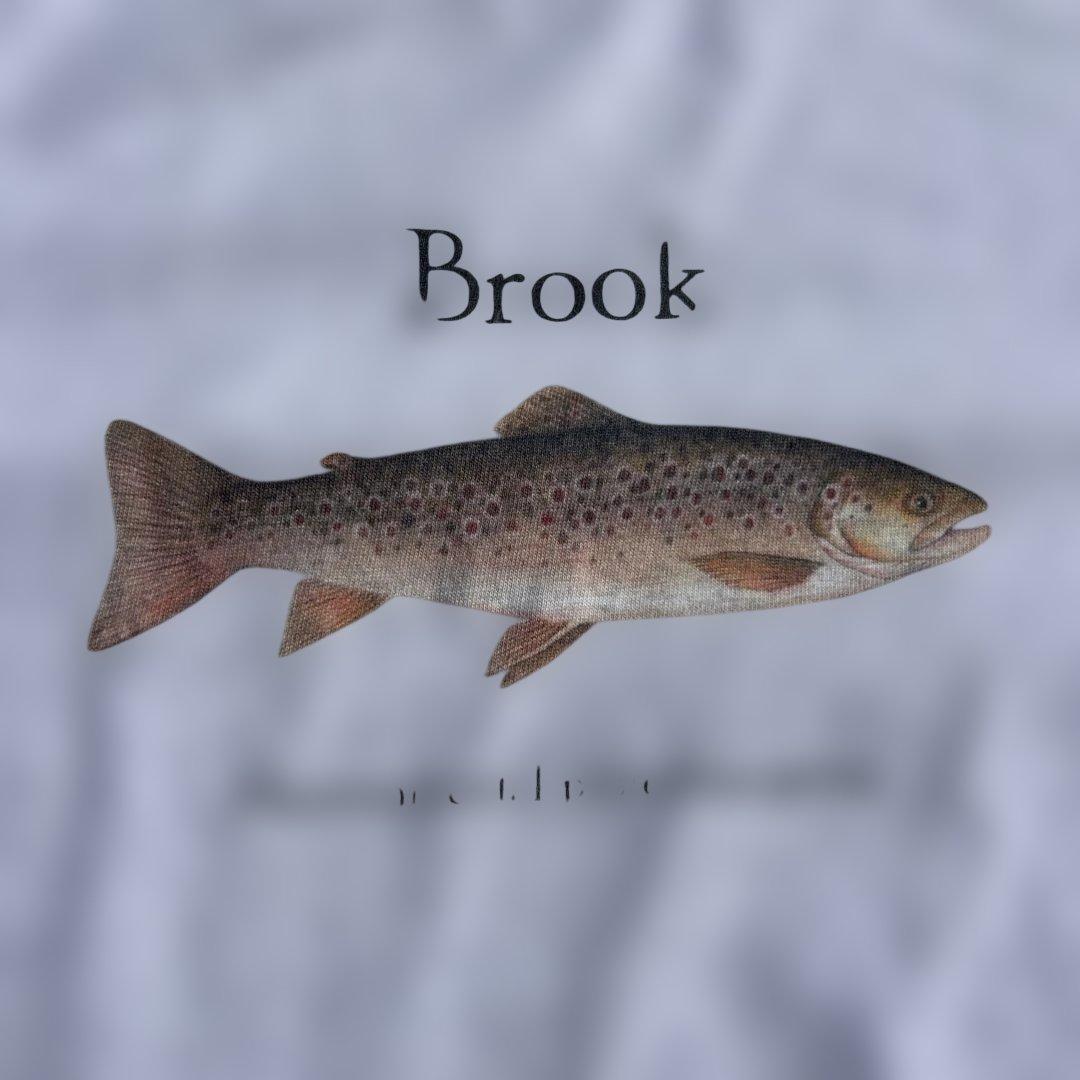 即完品 size L Brook 魚 シティーボーイ Tシャツ 杢グレー