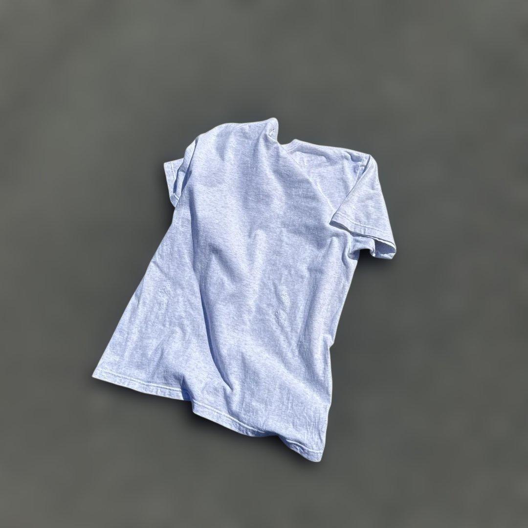 即完品 size L Brook 魚 シティーボーイ Tシャツ 杢グレー