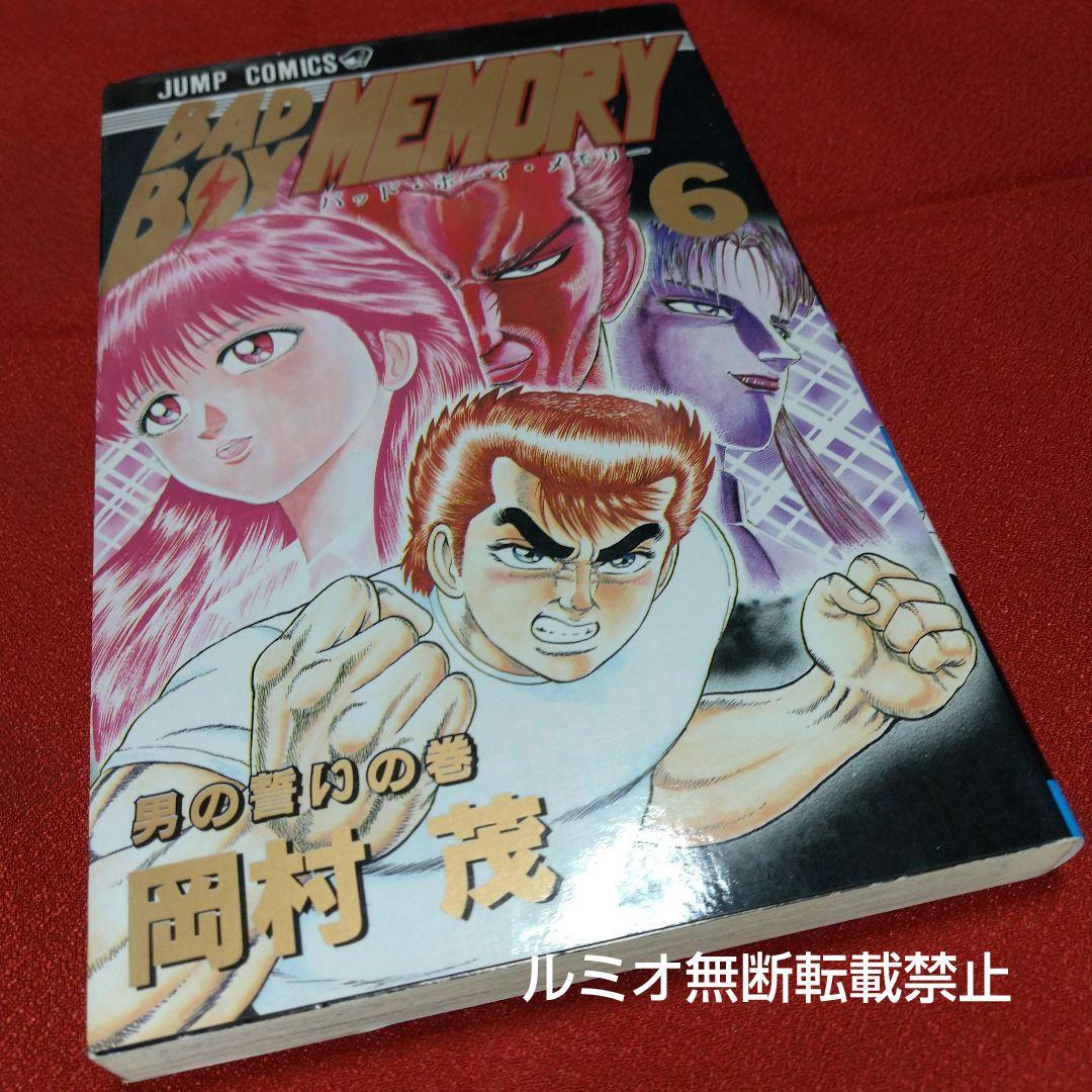 BAD BOY MEMORY(全巻セット)岡村茂