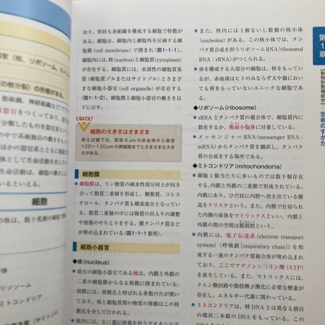 認定動物看護師教育コアカリキュラム☆ 基礎動物看護学 1-3巻 セット