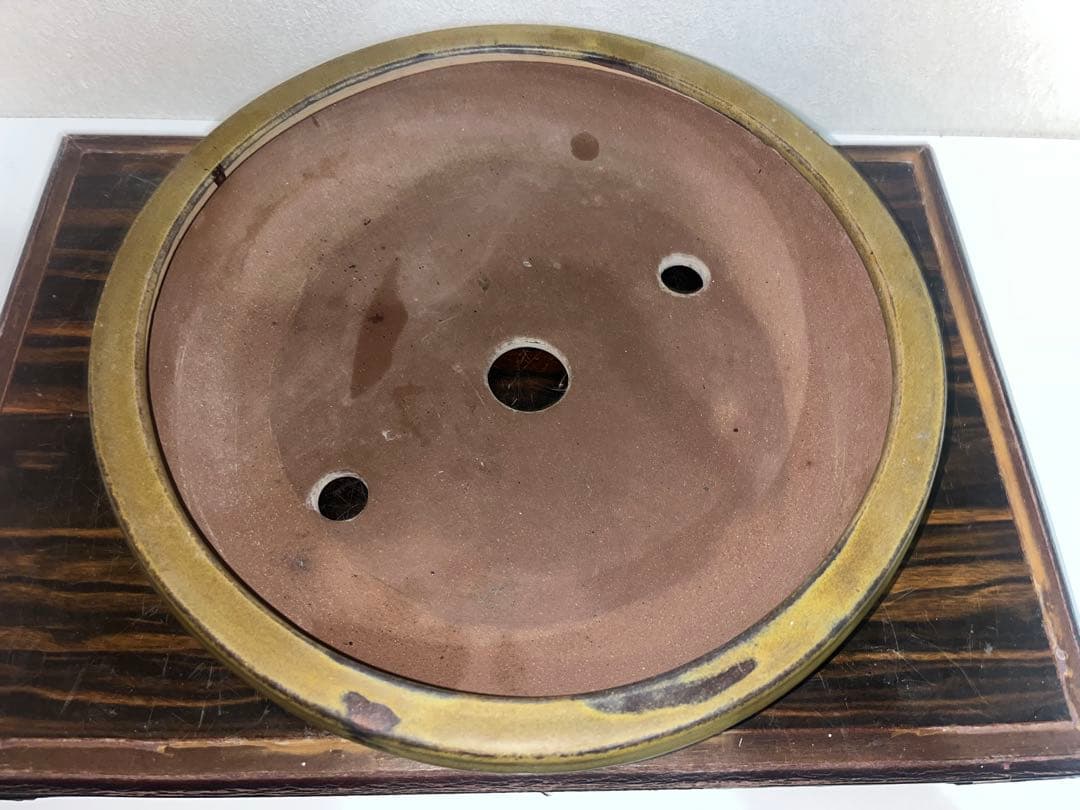発色抜群　黄釉　中国古盆器　宣興　丸鉢　盆栽鉢