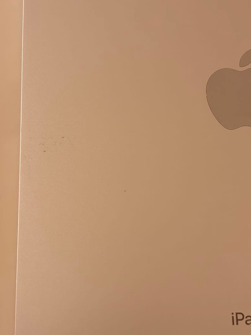iPad Air 第5世代 256GB Apple Pencil第2世代付き