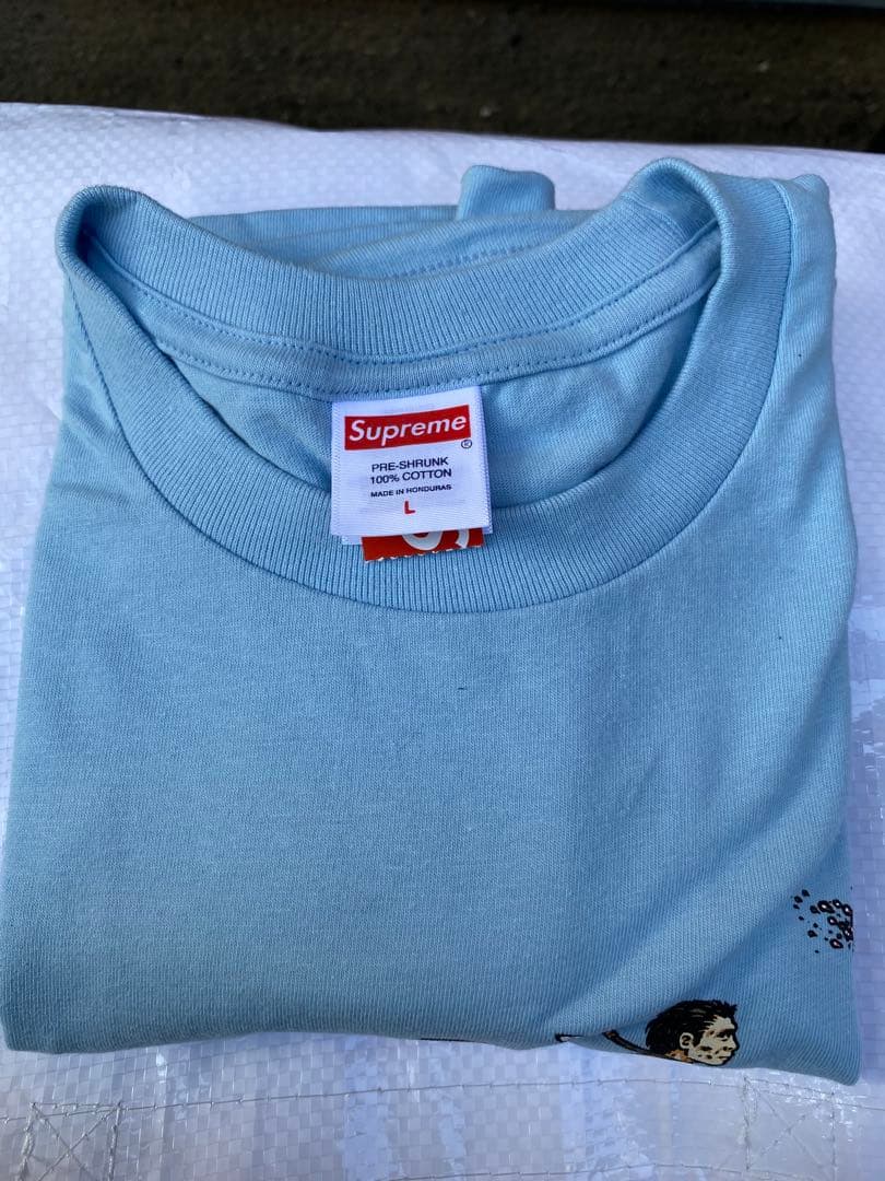 SUPREME TシャツEvolution Tee Lサイズ【完売品】