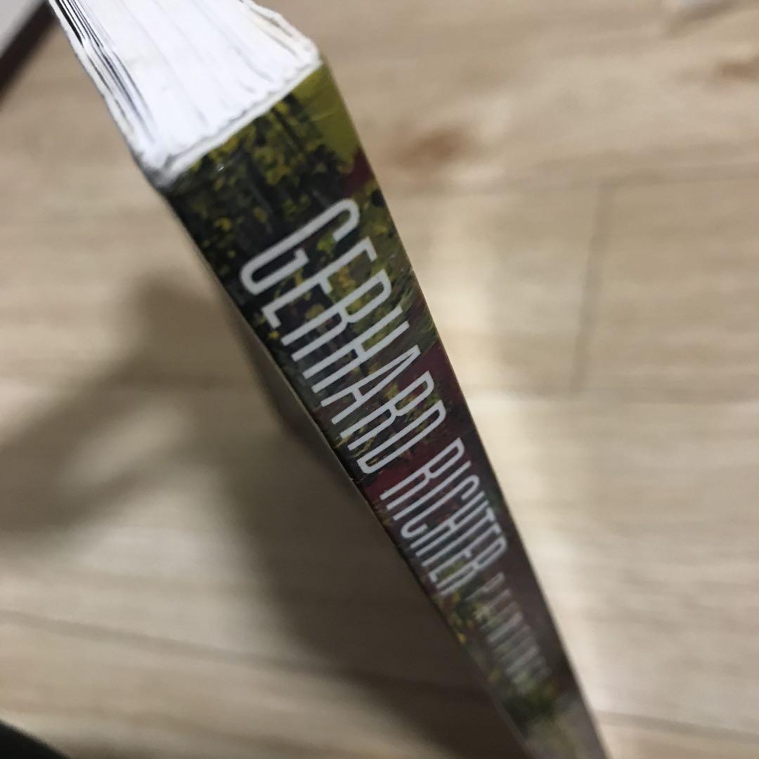 GERHARD RICHTER PAINTINGS ゲルハルトリヒター 洋書