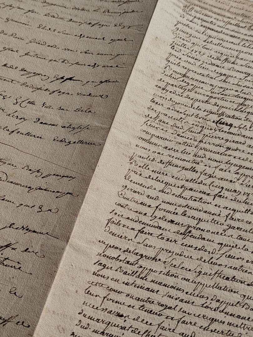フランスアンティーク 古文書 フランス王家