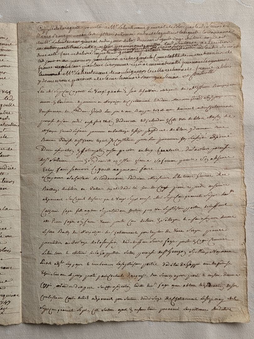 フランスアンティーク 古文書 フランス王家
