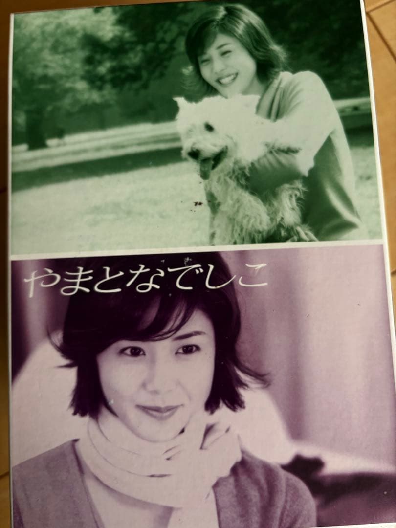 やまとなでしこ DVD 全6巻セット