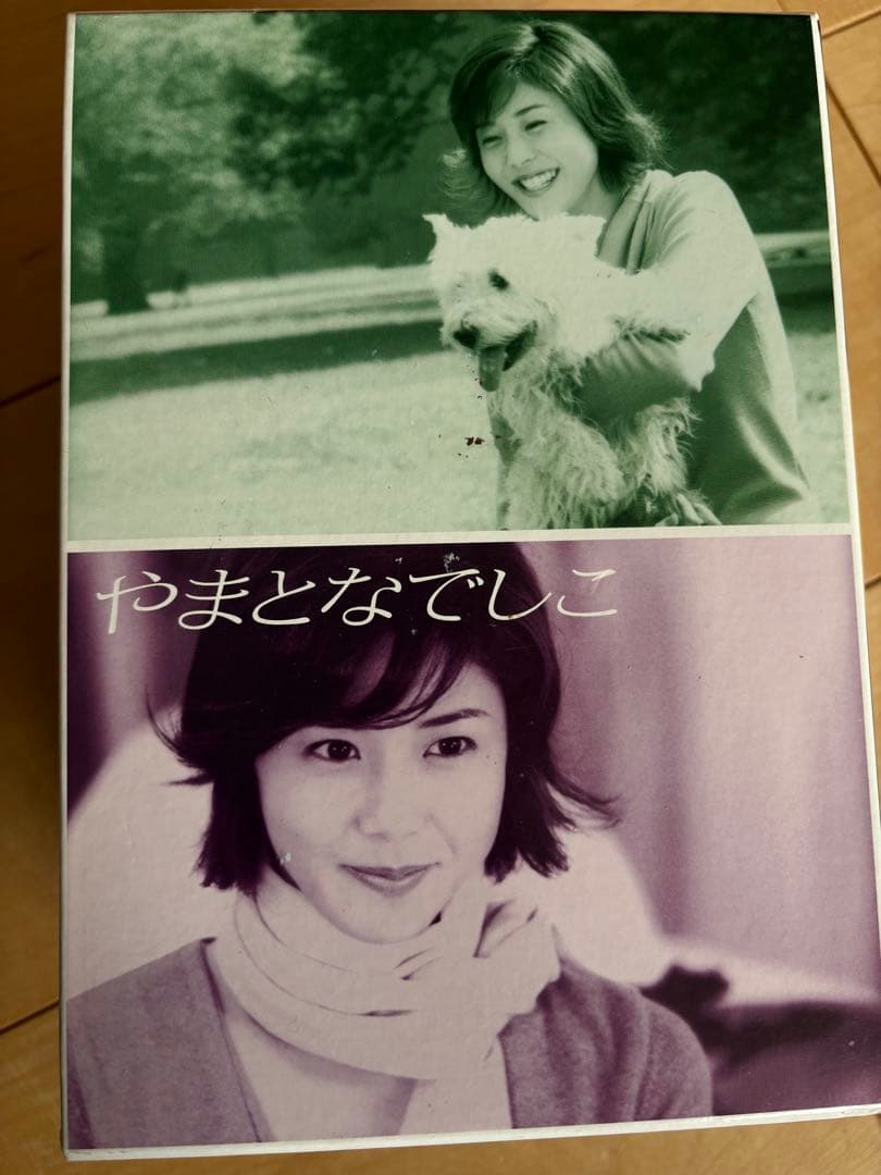 やまとなでしこ DVD 全6巻セット