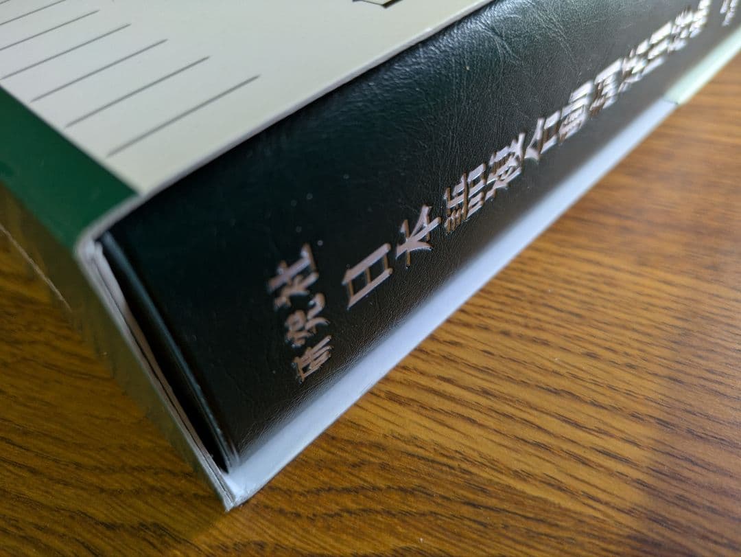 【新品・未使用】『日本語複合動詞活用辞典』研究社