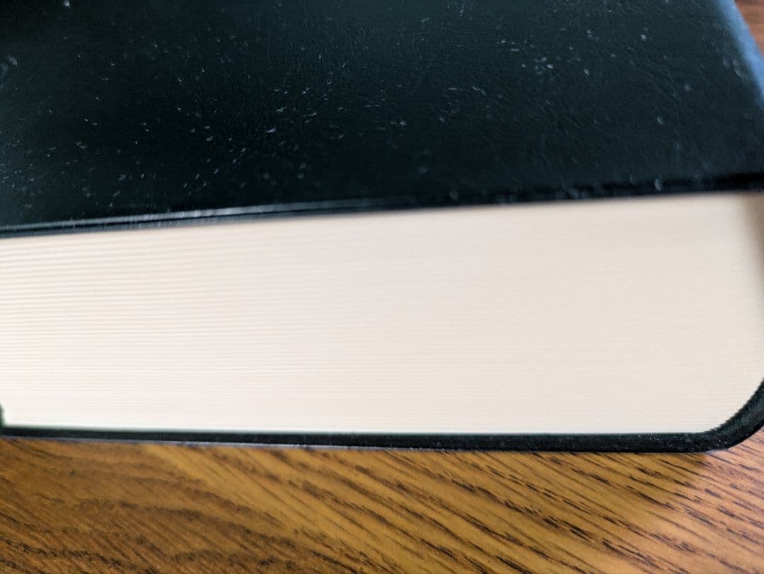 【新品・未使用】『日本語複合動詞活用辞典』研究社