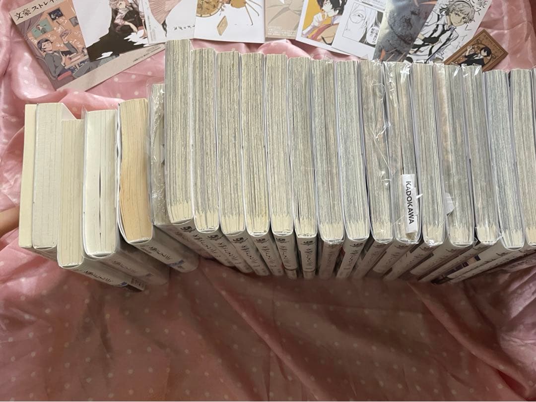 文豪ストレイドッグス漫画15巻＋小説6巻＋外伝絵巻