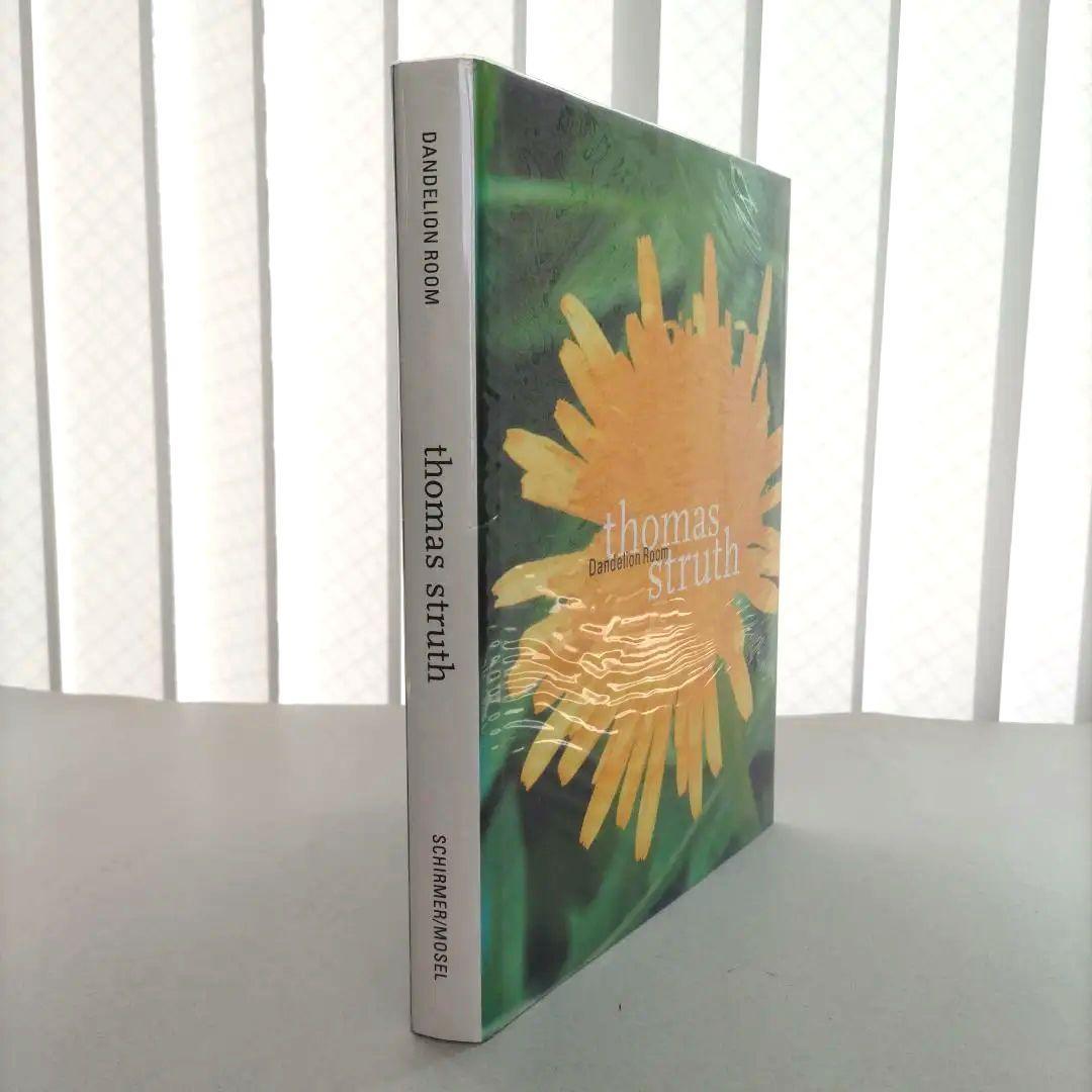 thomas struth:Dandelion Room/写真集 作品集 洋書