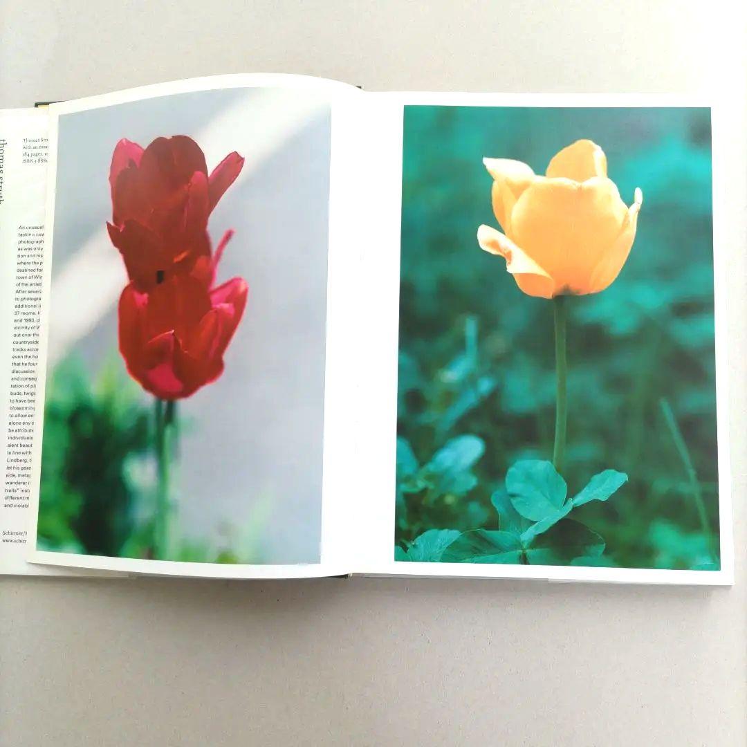 thomas struth:Dandelion Room/写真集 作品集 洋書