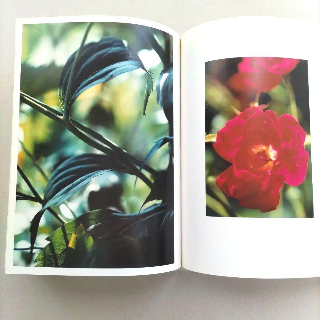 thomas struth:Dandelion Room/写真集 作品集 洋書
