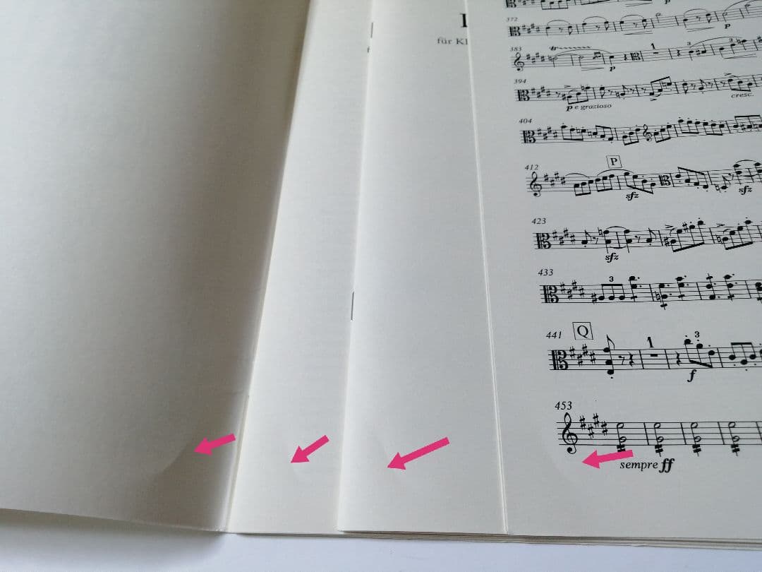 ブルッフ クラリネット、ヴィオラと管弦楽のための協奏曲 ホ短調　Op.88