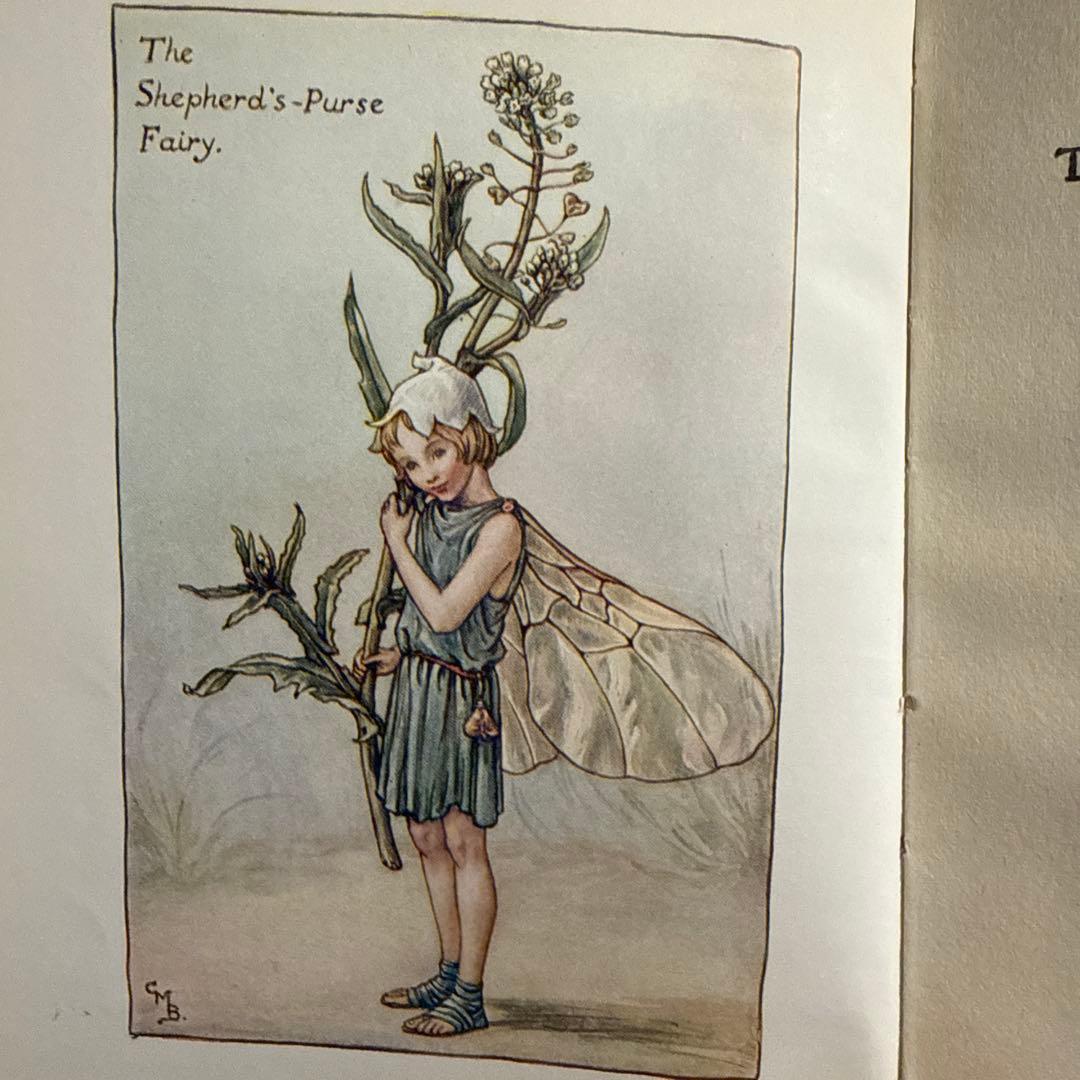 美品アンティーク美しい挿絵イギリス絵本 洋書 古書 妖精ジャンクジャーナル児童書