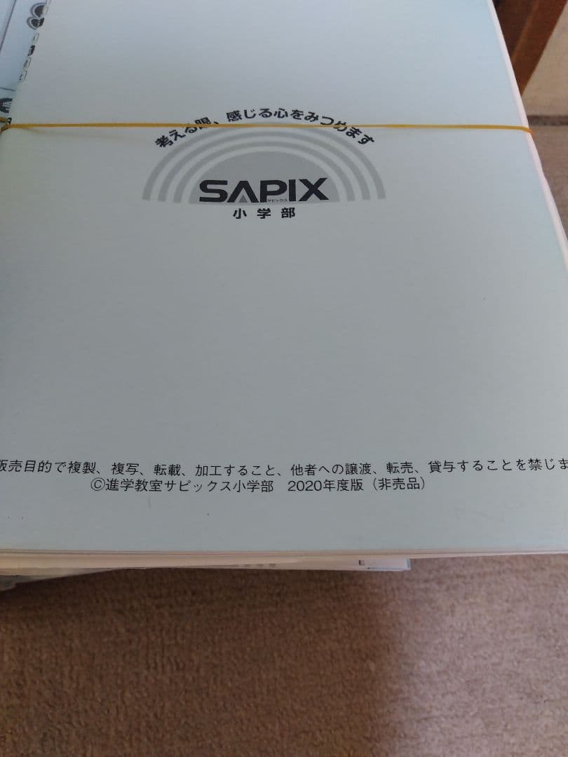 2020年度 SAPIX サピックス 小学6年 国語