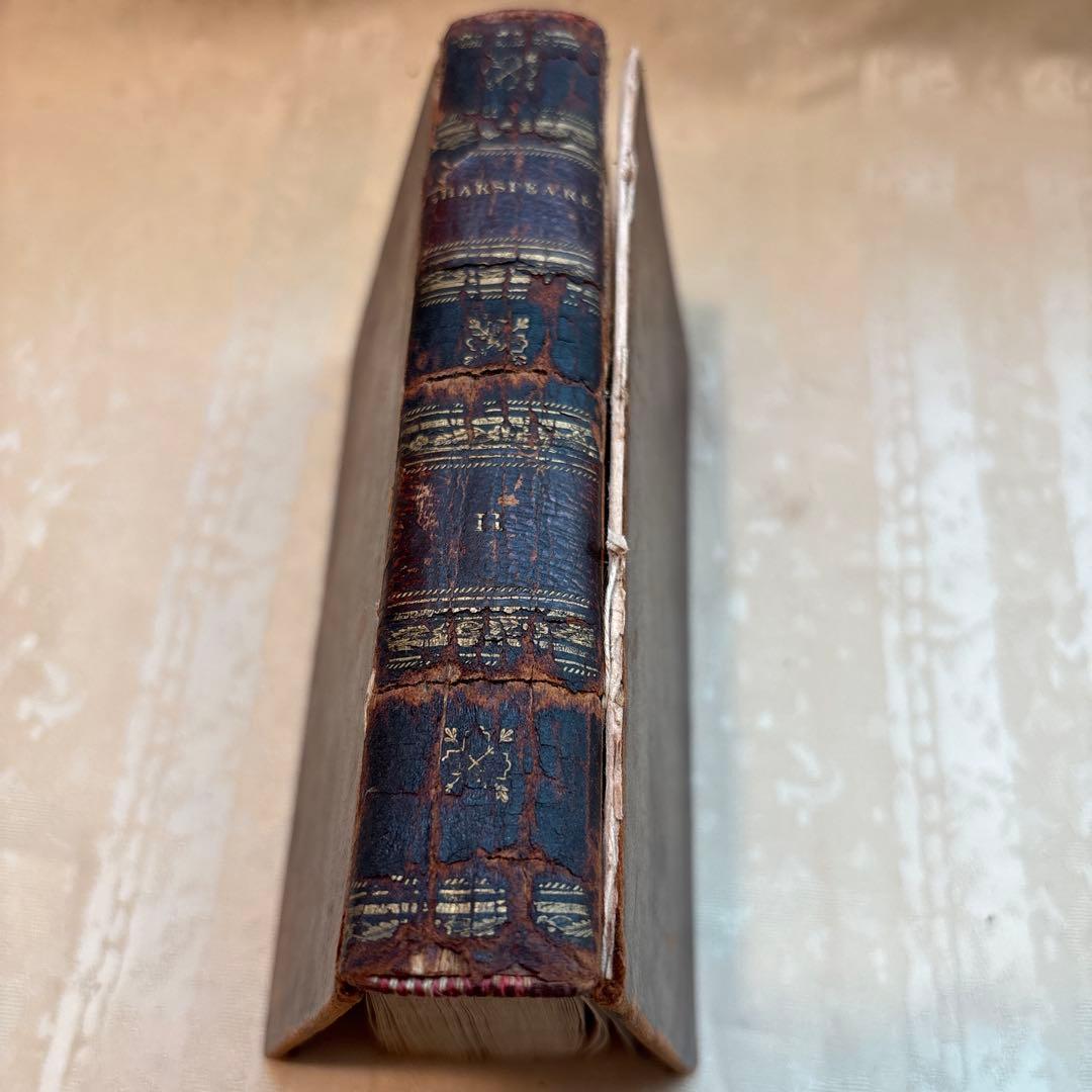 アンティーク　ビンテージ　フランス語　洋書　古書　洋古書