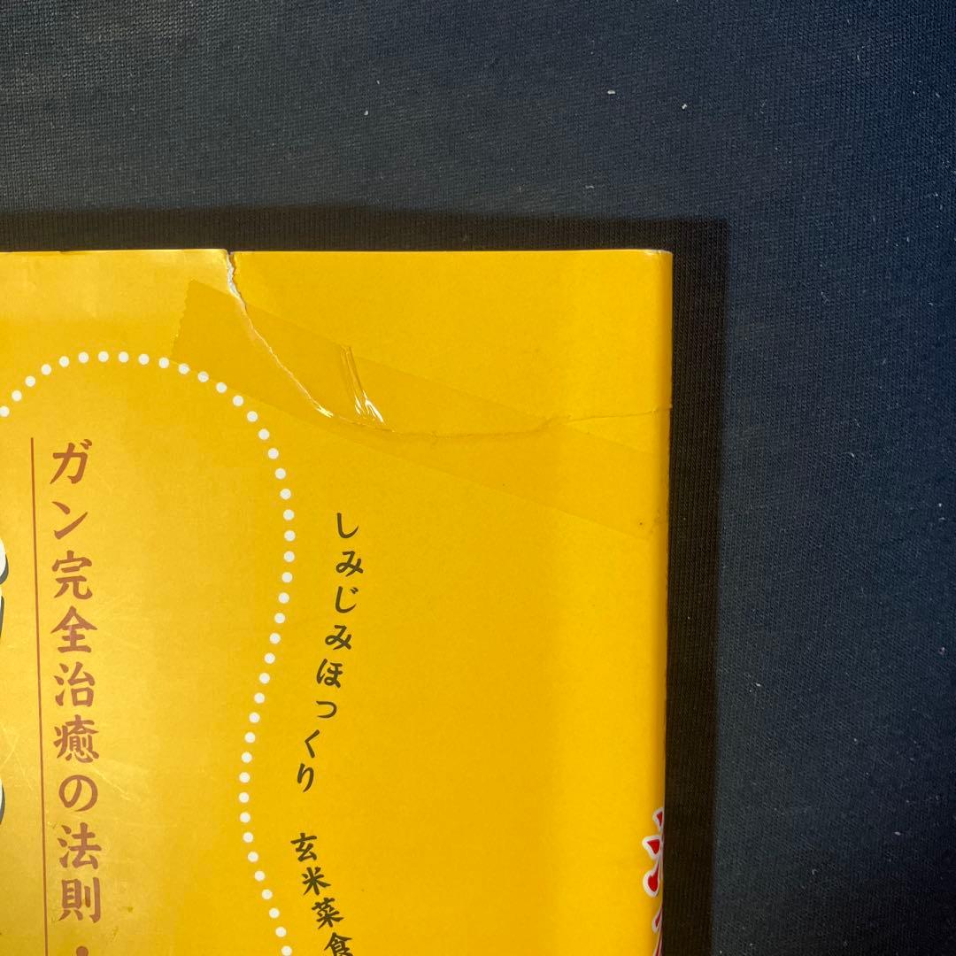 治る食事 ガン完全治癒の法則・実践編 書籍+DVD2枚組み