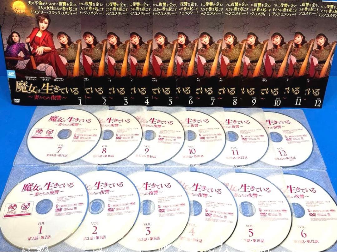 魔女は生きている〜妻たちの復讐〜 DVD 全12巻 イ・ユリ / イ・ミニョン