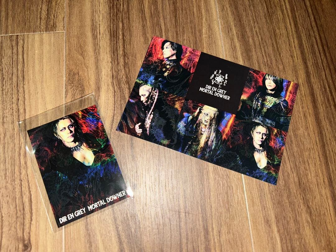 DIR EN GREY MORTAL DOWNER CD DVD 完全生産限定盤