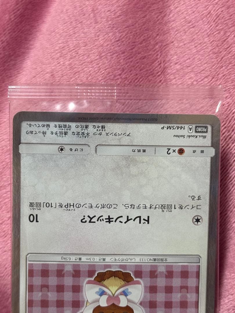 ポンチョを着たイーブイ ニンフィア 未開封