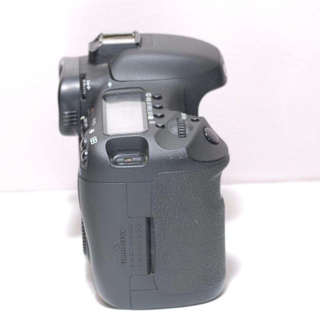 ✨ハイアマチュアに✨Canon EOS 7D✨ダブルレンズ✨超望遠レンズデビュー