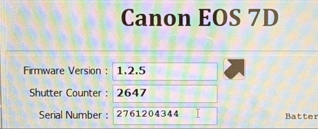✨ハイアマチュアに✨Canon EOS 7D✨ダブルレンズ✨超望遠レンズデビュー