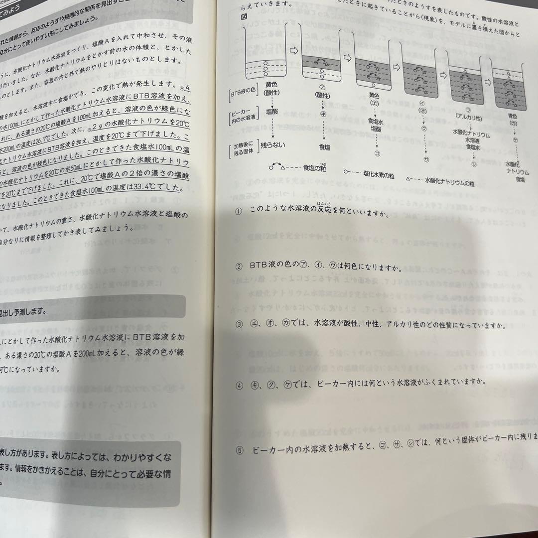 日能研　栄冠への道 6年　国算社理　答え　計算と漢字付き