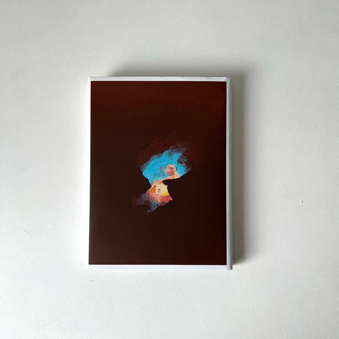 【美品】Ryan McGinley「You and I」ライアン マッギンレー