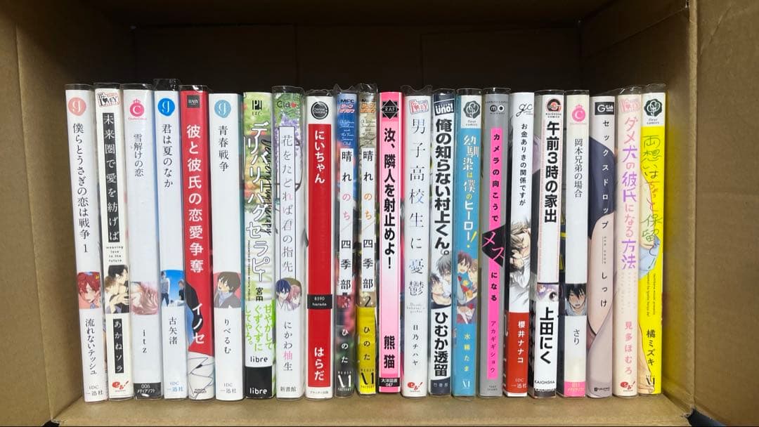 bl マンガ 96冊 まとめ売り 特典つき