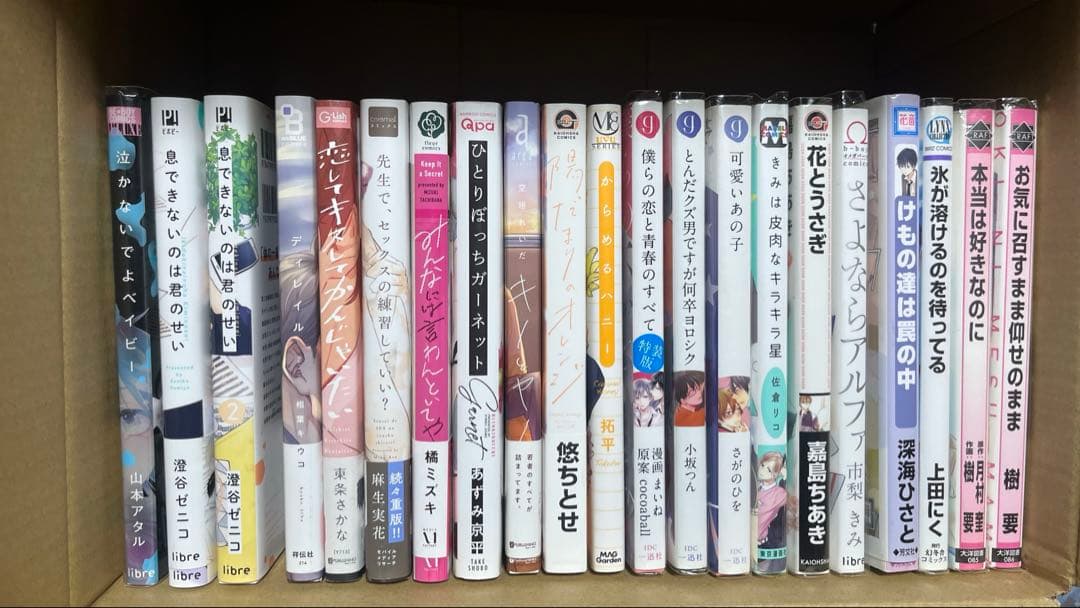 bl マンガ 96冊 まとめ売り 特典つき