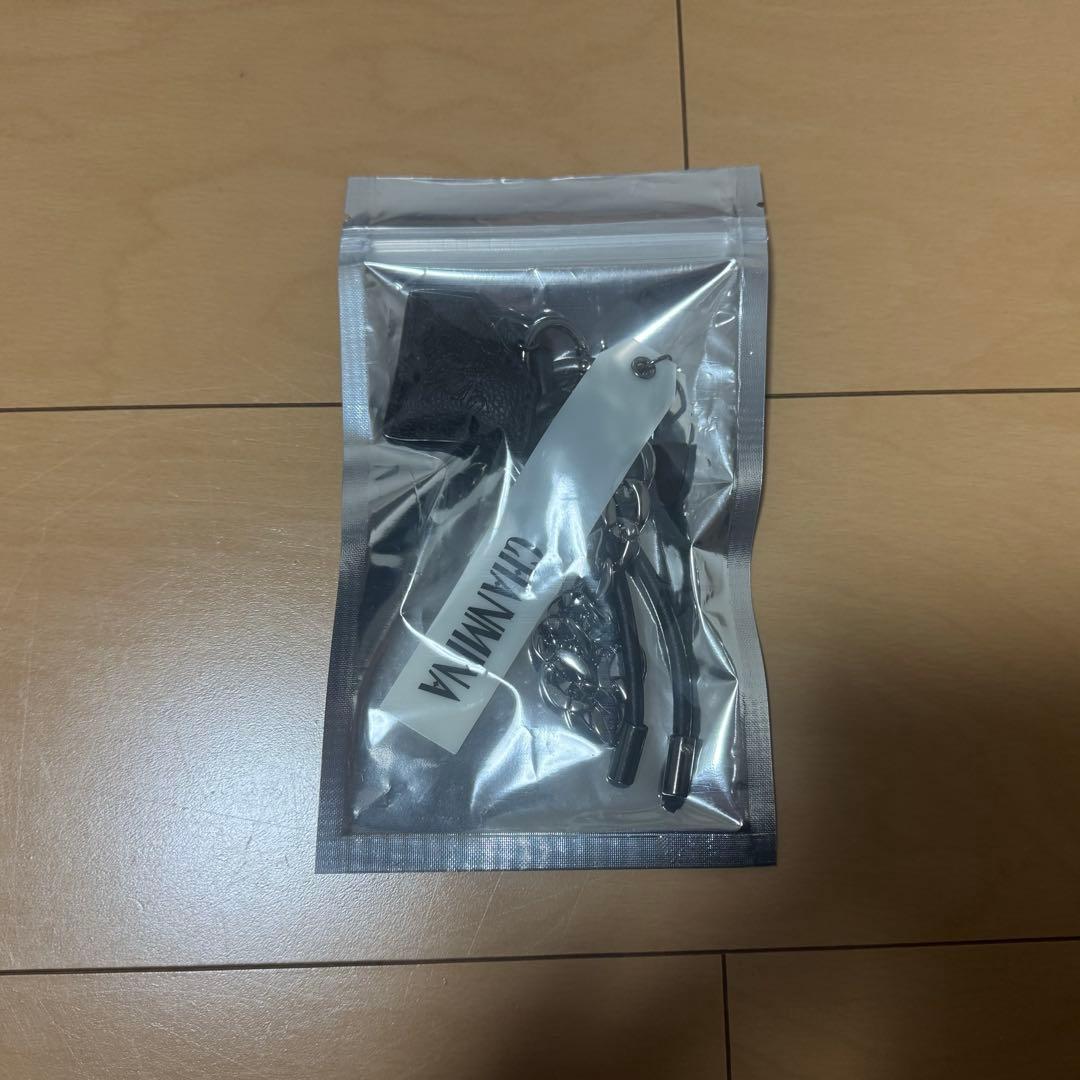 ちゃんみな AOD4 4点セット ペンライト タオル バッグ チャーム